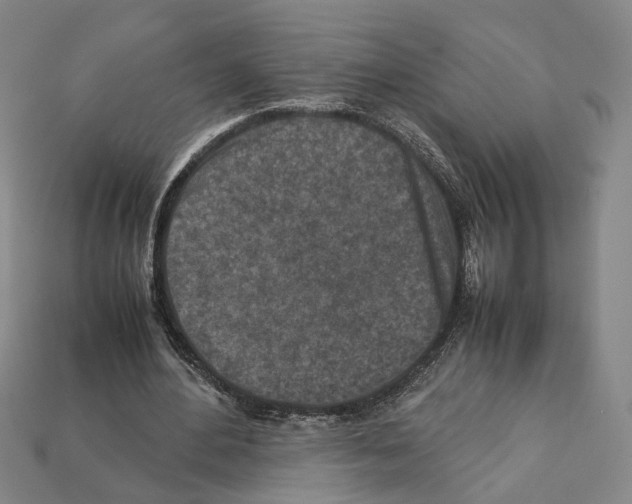 X0000112210484200909181557