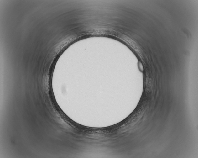 X0000112210485200909181556
