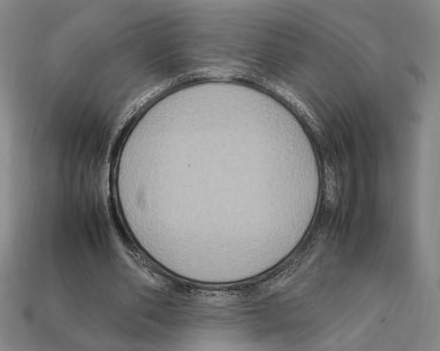 X0000112210486200909181556