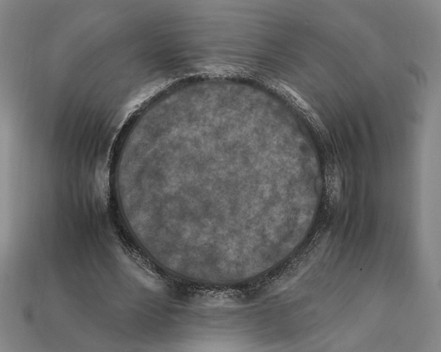 X0000112210488200909181556