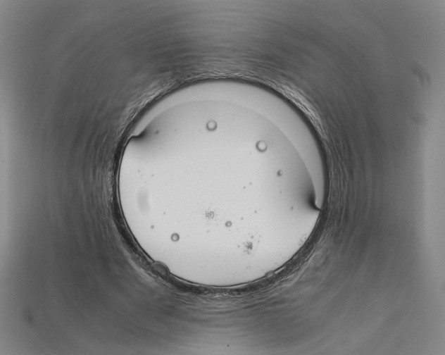 X0000112210489200909181556
