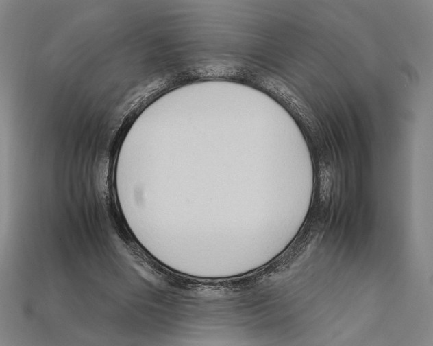 X0000112210490200909181556