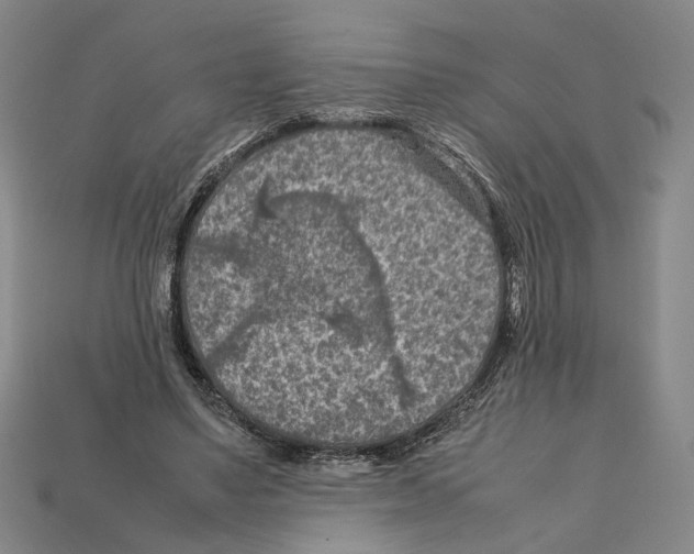 X0000112210491200909181556