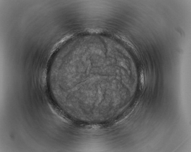 X0000112210492200909181556