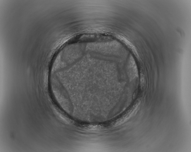 X0000112210493200909181556