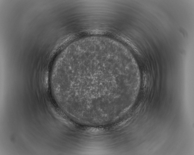 X0000112210494200909181556