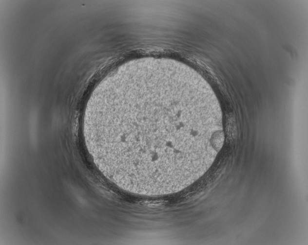 X0000112210495200909181556