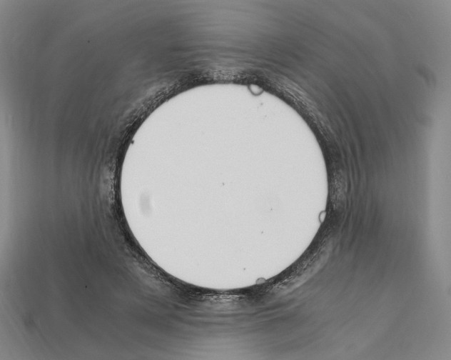 X0000112210497200909181556