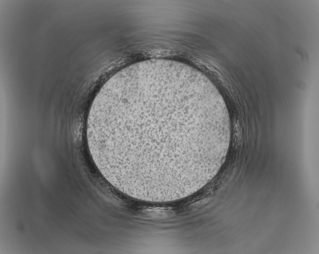 X0000112210499200909181556