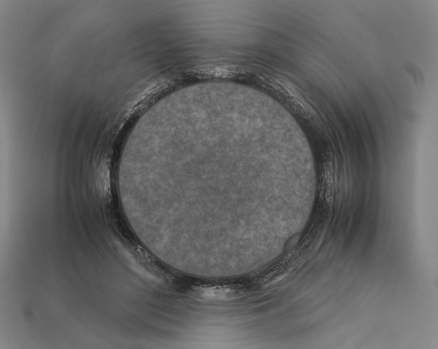 X0000112210500200909181556