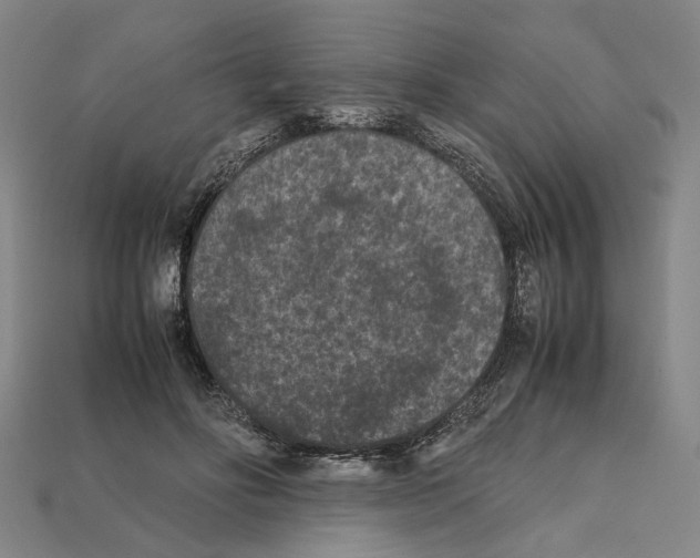 X0000112210502200909181556