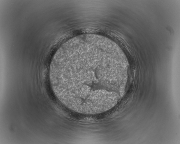 X0000112210503200909181556