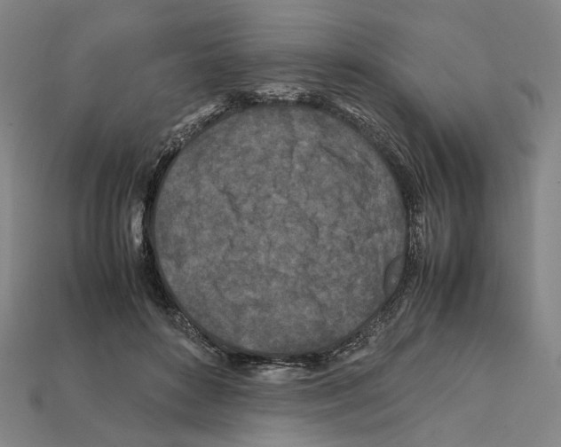 X0000112210504200909181556