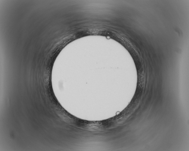 X0000112210505200909181556