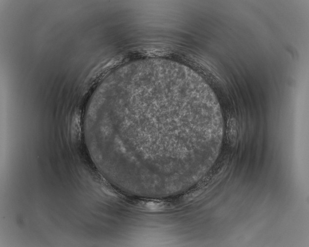 X0000112210506200909181556