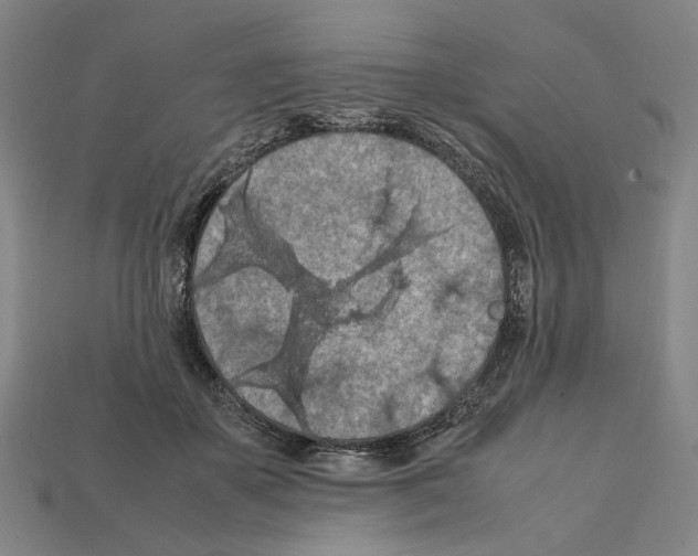 X0000112210507200909181556