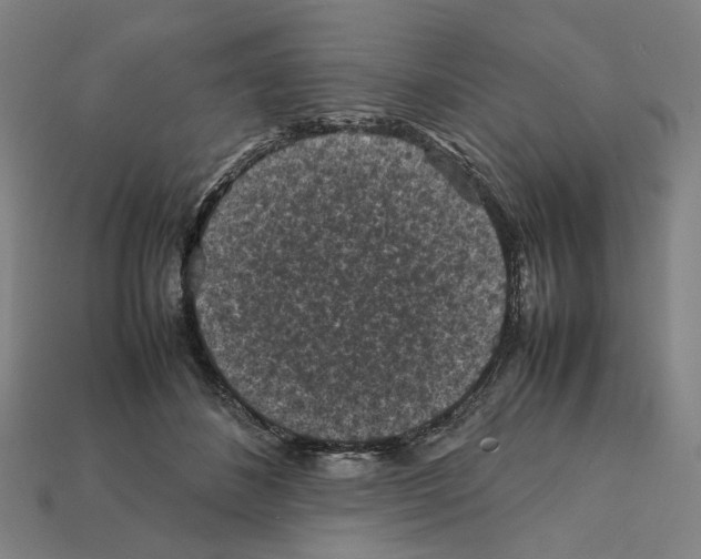X0000112210508200909181556