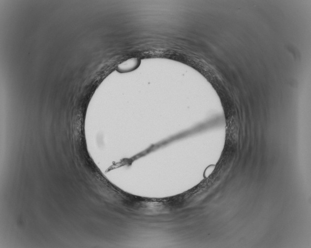 X0000112210509200909181556
