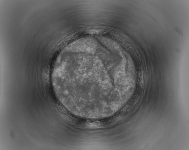 X0000112210510200909181556