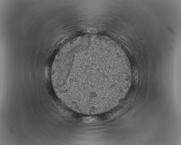 X0000112210511200909181556