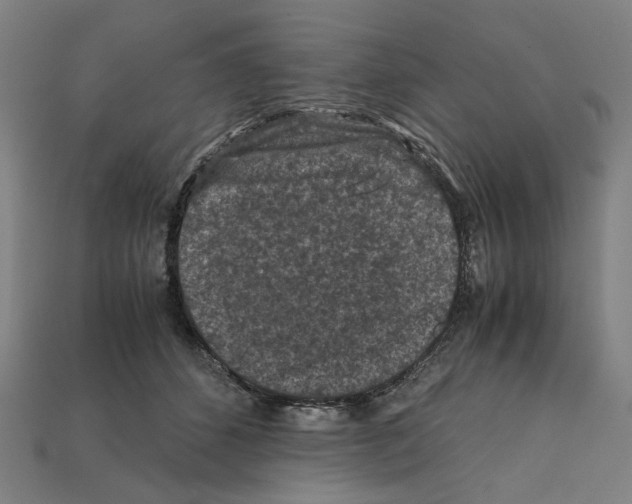 X0000112210512200909181556