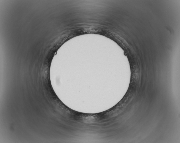 X0000112210513200909181556