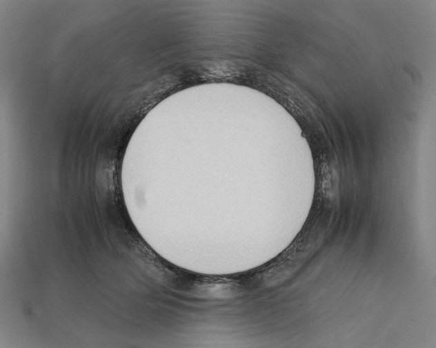 X0000112210514200909181556