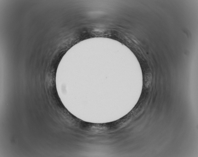 X0000112210515200909181556