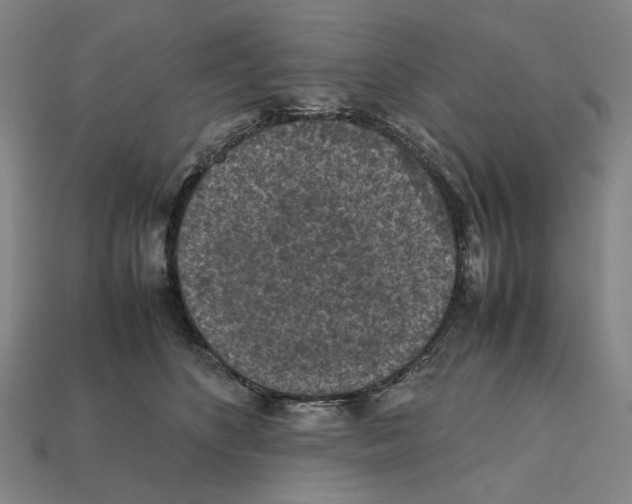 X0000112210516200909181556