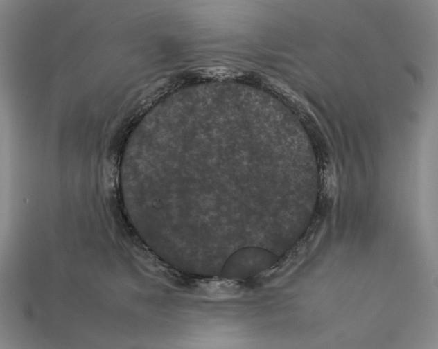 X0000112210517200909181556