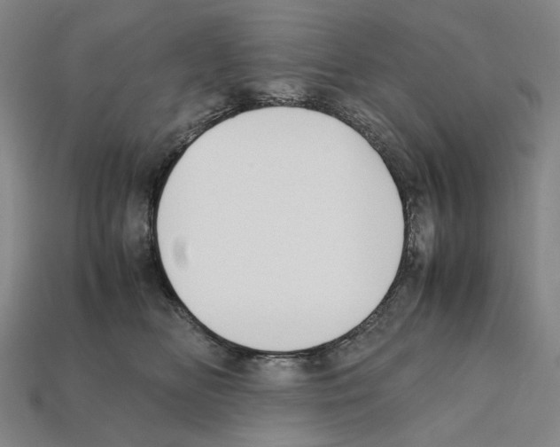 X0000112210518200909181556