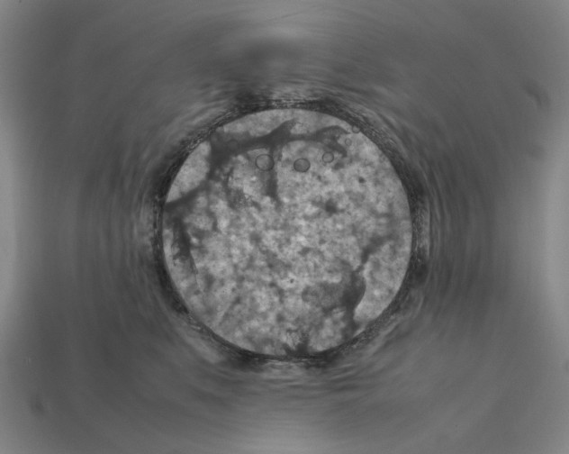 X0000112210519200909181556
