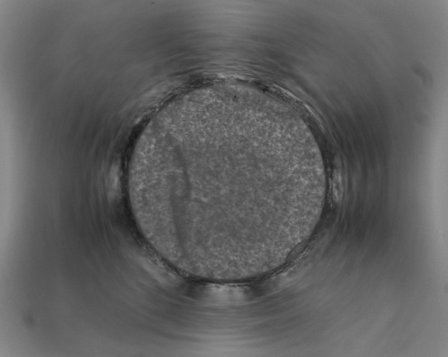 X0000112210520200909181556