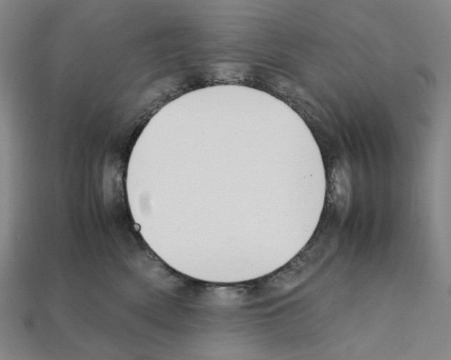 X0000112210522200909181556