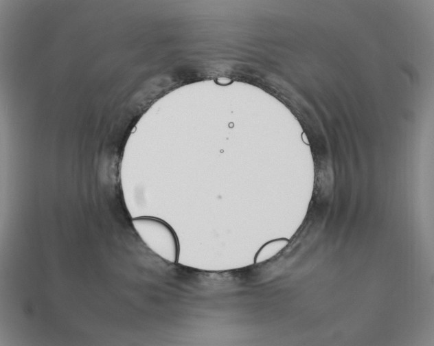X0000112210525200909181556