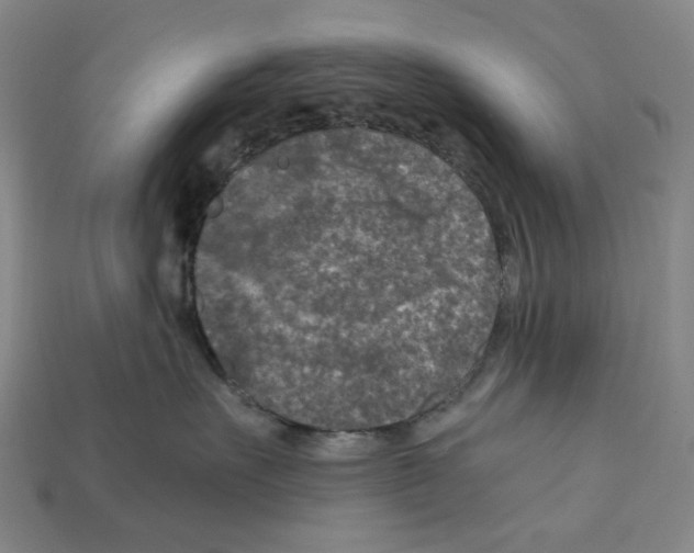 X0000112210527200909181556