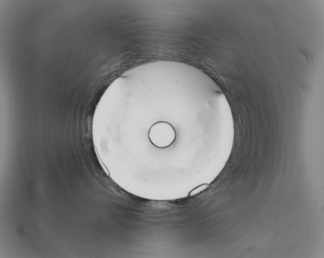 X0000112210528200909181556