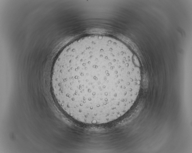 X0000112210529200909181555
