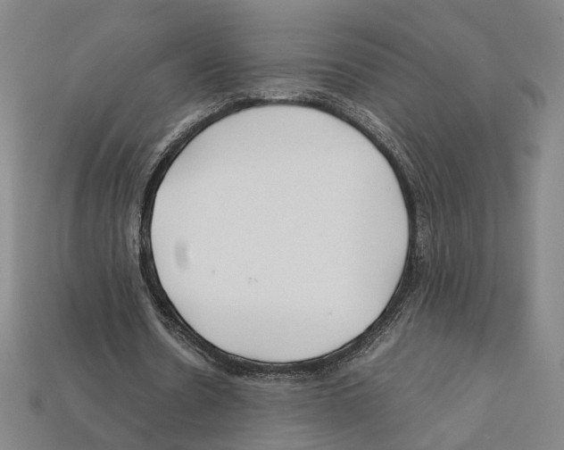 X0000112210530200909181555