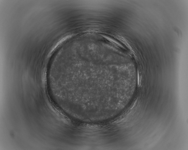 X0000112210531200909181555