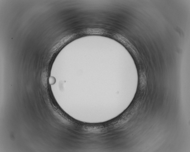 X0000112210533200909181555