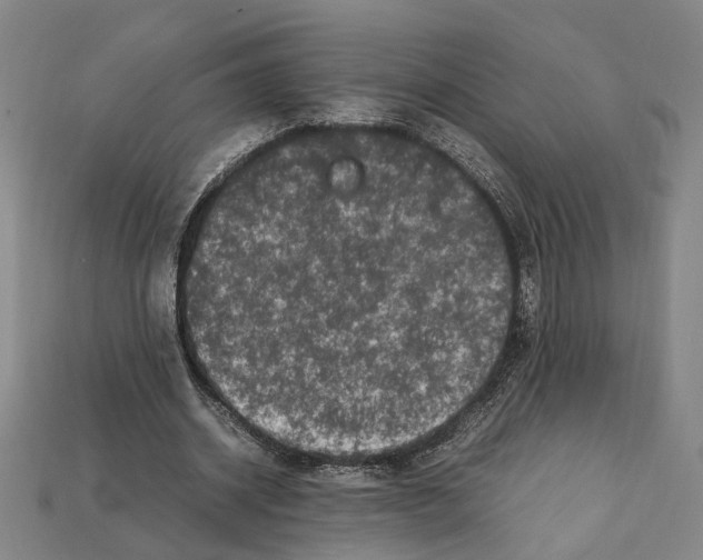 X0000112210534200909181555