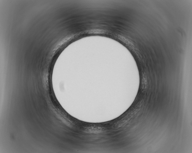 X0000112210535200909181555