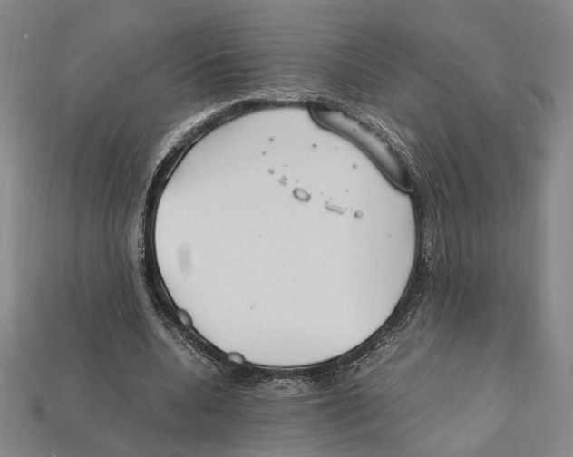 X0000112210536200909181555