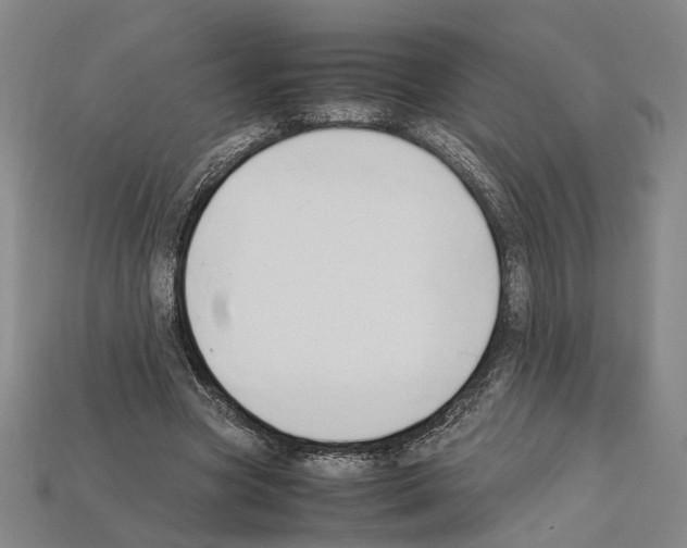 X0000112210537200909181555