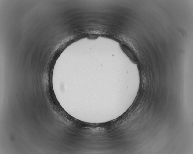 X0000112210539200909181555