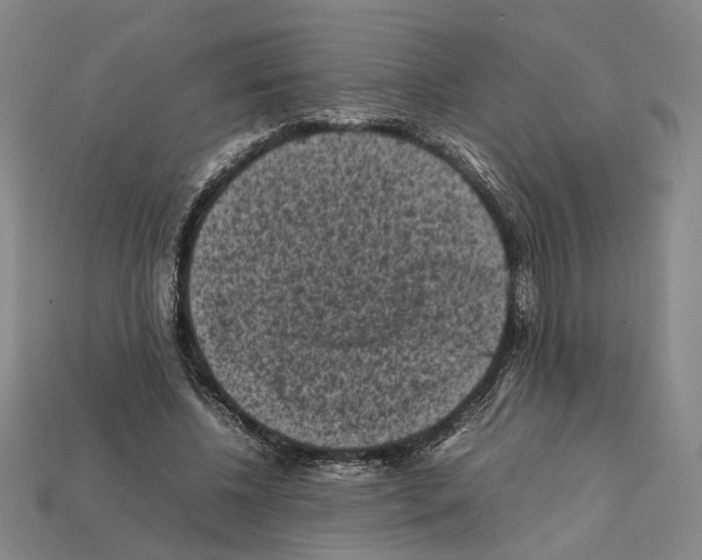 X0000112210540200909181555