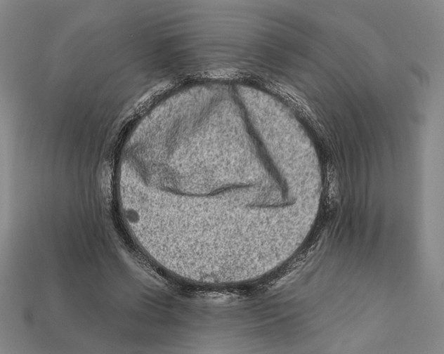 X0000112210542200909181555
