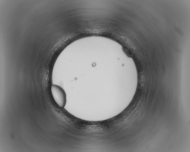 X0000112210544200909181556