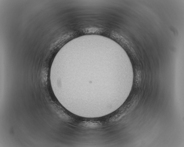 X0000112210545200909181556